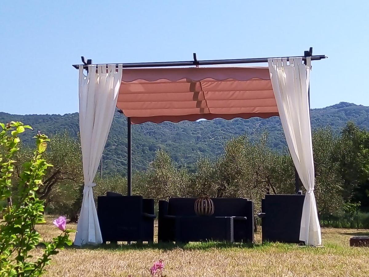 Casale I Burroni Διαμέρισμα Αρέτσο Εξωτερικό φωτογραφία